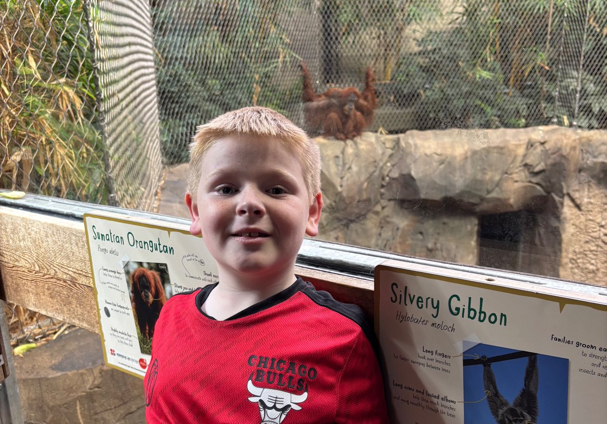 St Nicholas tweet media