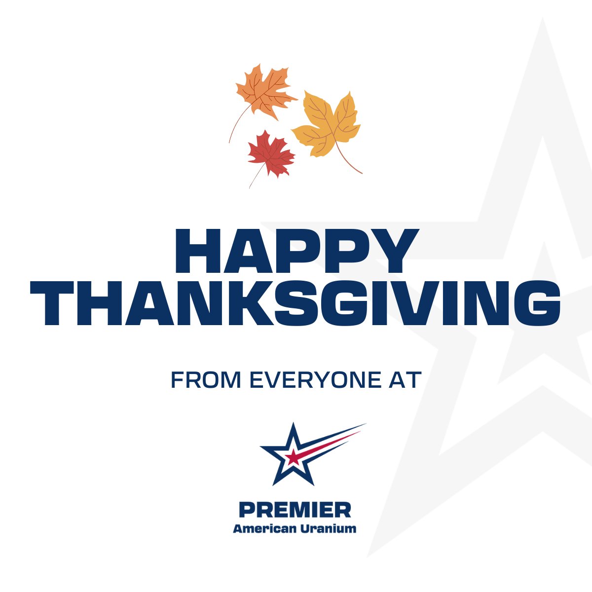 Premier American Uranium Inc. tweet media