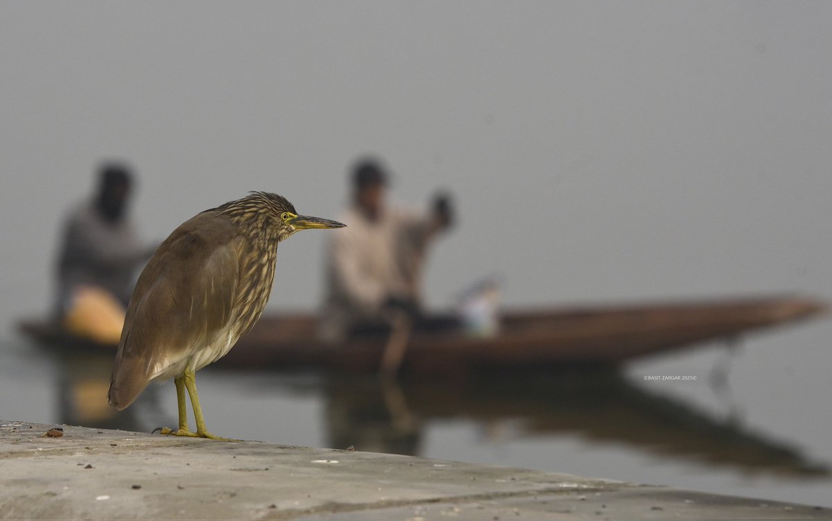 Biting winter in Srinagar: Temperature drops to -4.4°C, marking the season’s lowest and strengthening the cold wave
