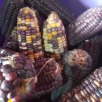 Photo by Jackie Chellah (@ChellahJackie)