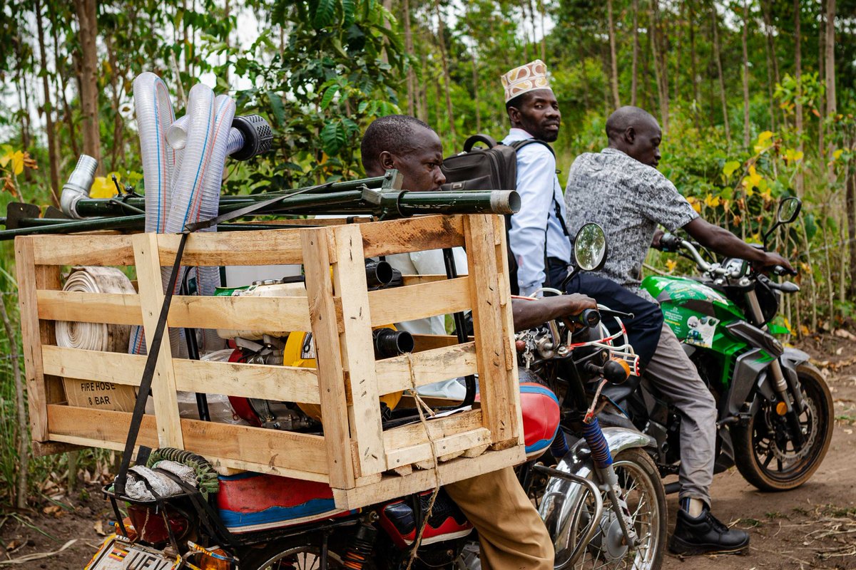 What irrigation system do you need—water pump, pipes, sprinklers, or more? 💧

Check out the AgriShare App and talk to us. We deliver straight to your farm!