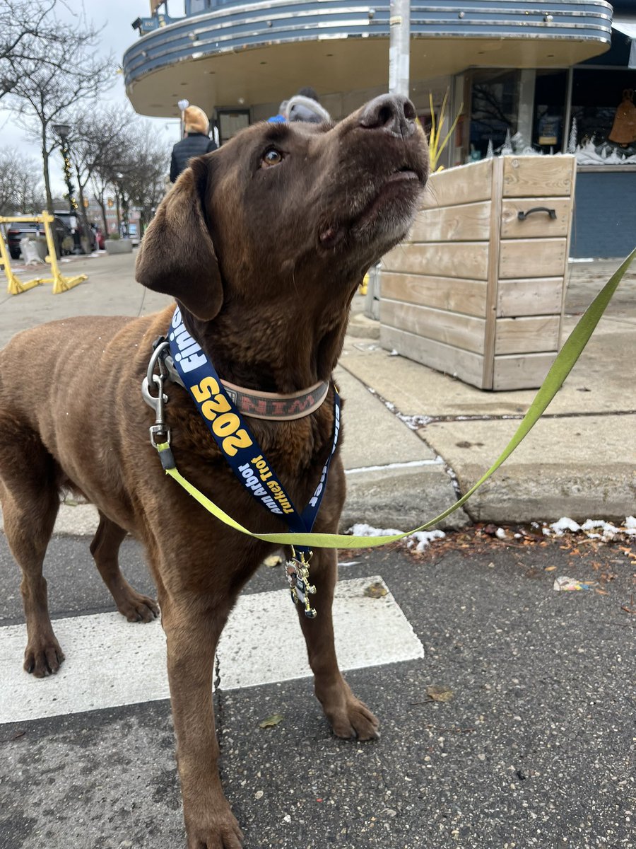 This turkey can trot