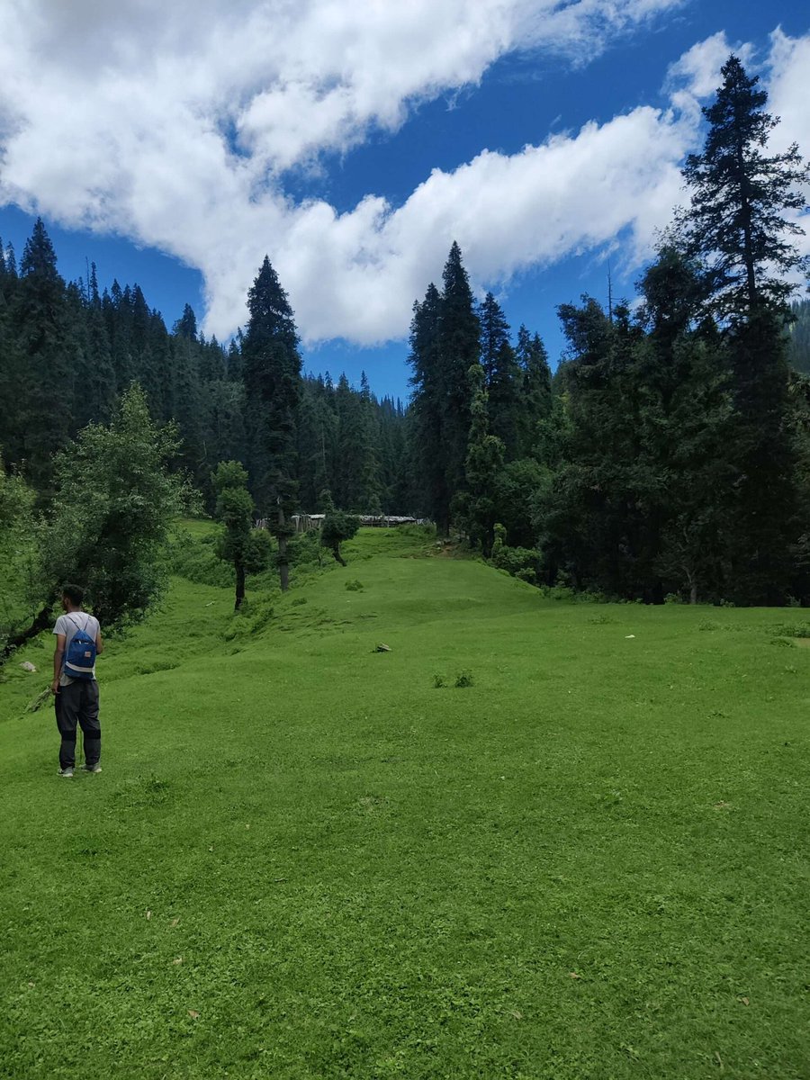 ghumeghume's tweet photo. 🏕️ Harunta Bugyal + Nachiketa Tal Trek — Uttarakhand, India | @₹6499

🕒 Duration: 4 Days / 3 Nights

🌿 Highlights: Serene alpine meadows &amp; peaceful forest lake

👥 Groups: Solo, friends, couples

🔗 Book: https://t.co/P92OJy4Fcg…

#wintertreks
#uttarkashi
#India
#Uttarakahnd https://t.co/ekwVbUvqZi
