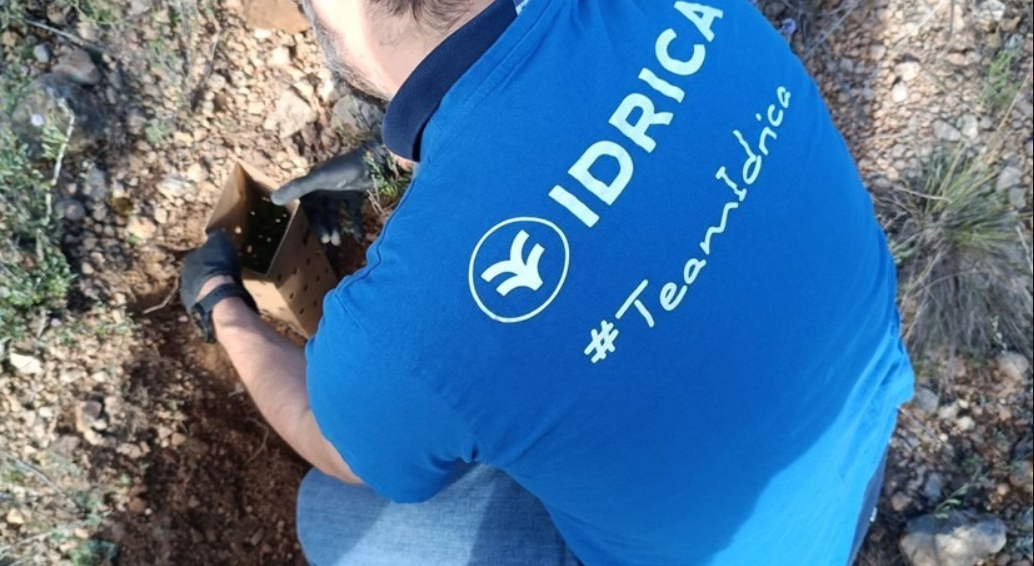 #Pedralba suma un nuevo pulmón verde gracias a la iniciativa de <a href="/IdricaHQ/">Idrica</a> 

👁‍🗨 masturia.com/2025/11/pedral…