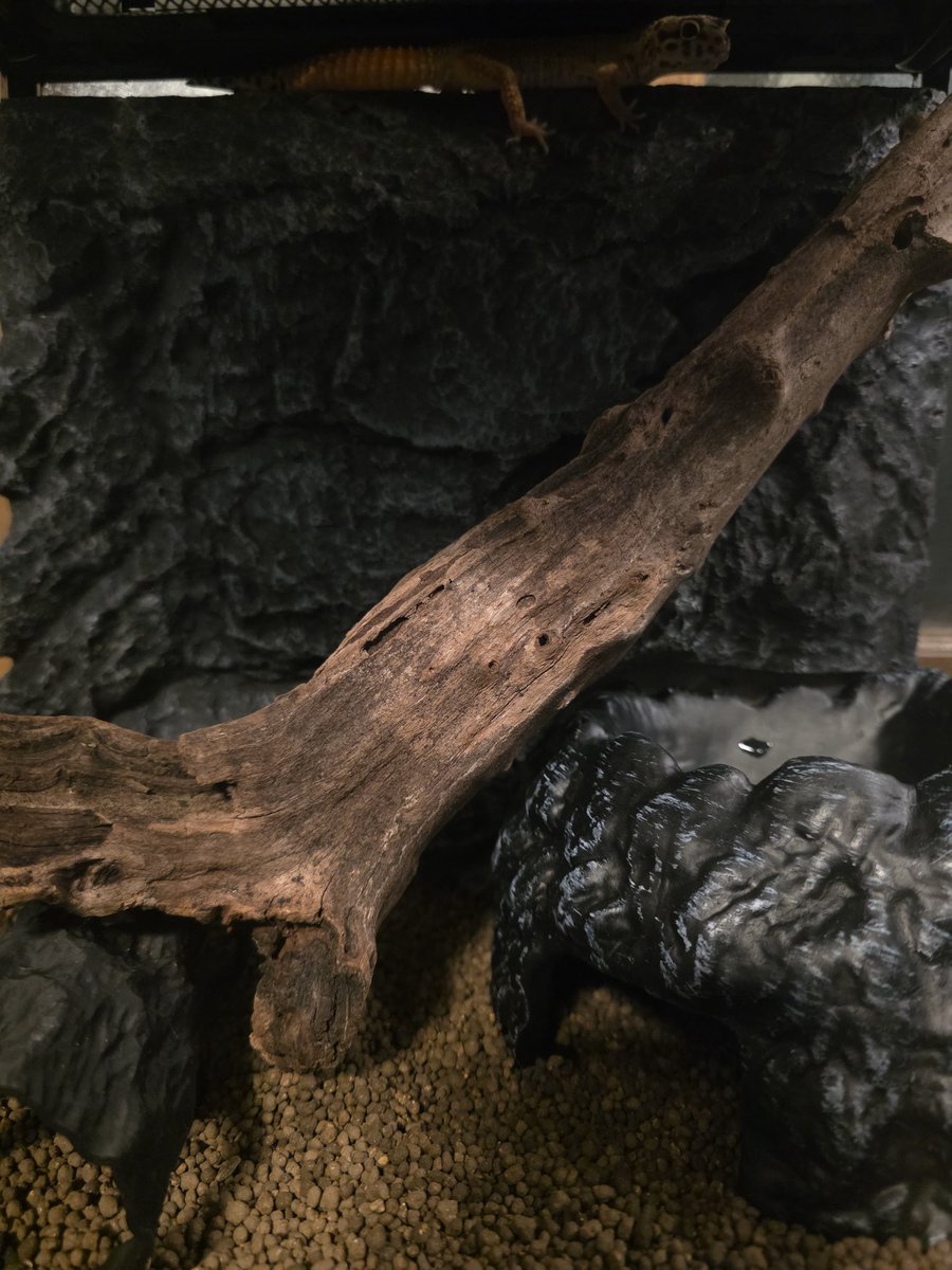 ♥なっこ様♥ こなっこ (@KzxHana) / Posts / X