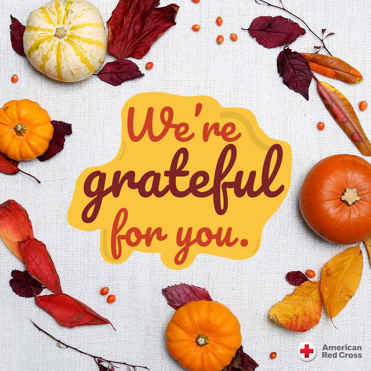 Happy Thanksgiving from the American Red Cross New Jersey Region. 🍂🦃🥧