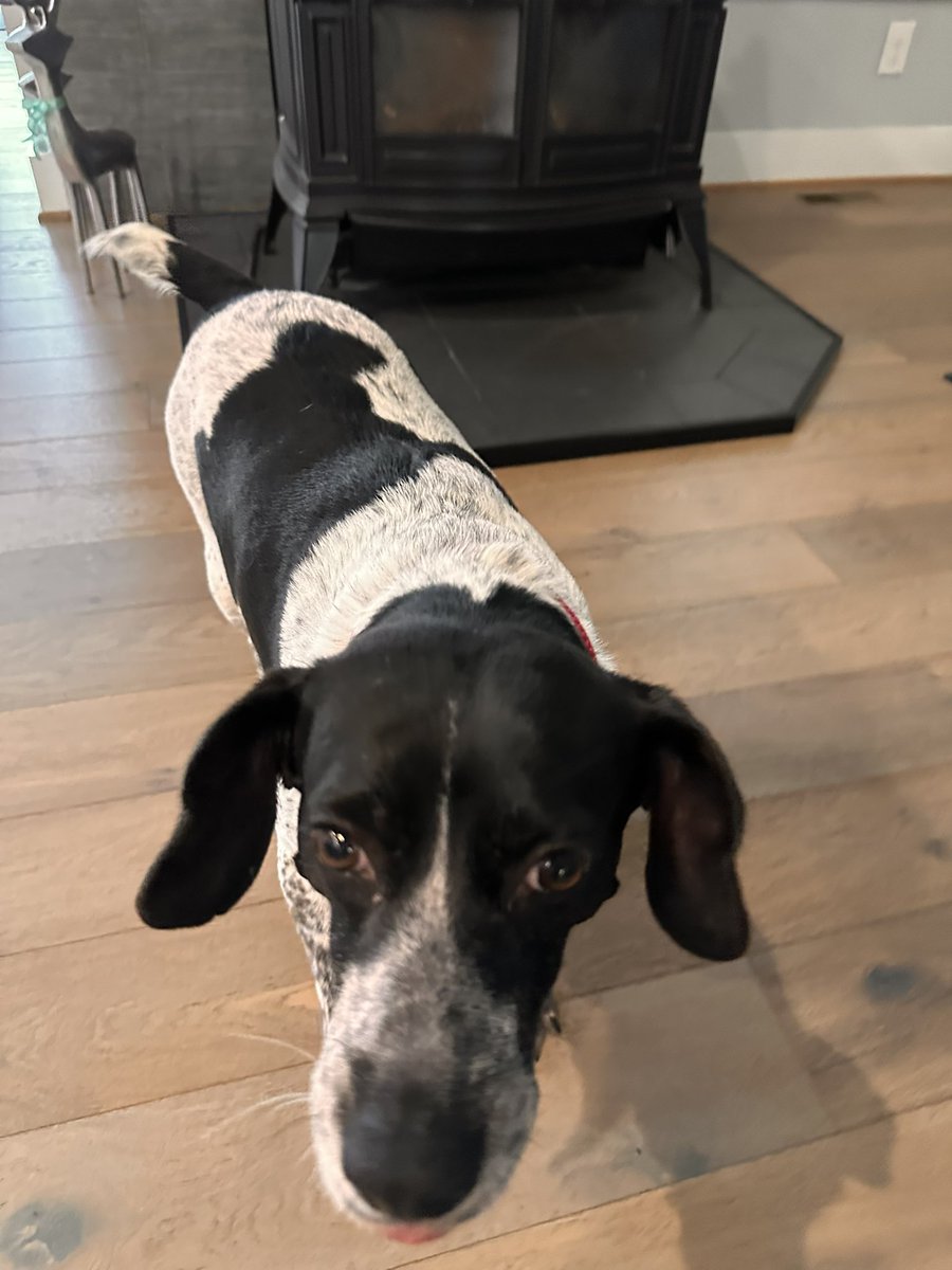 what the hell is this thing