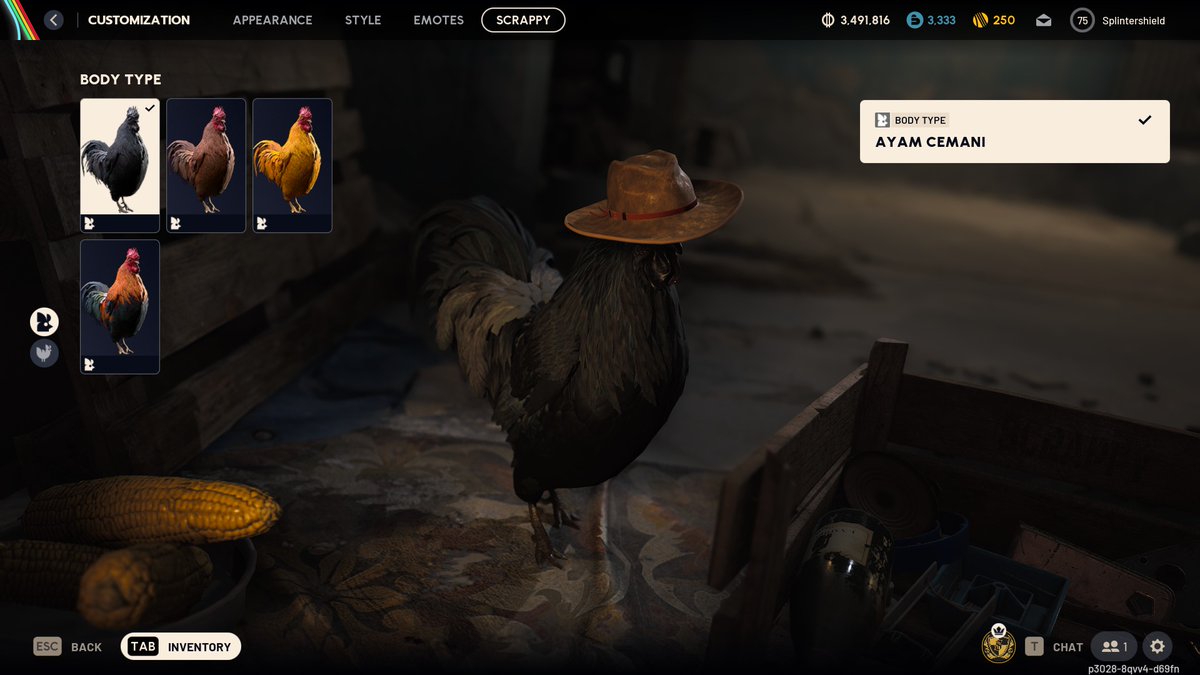 The Hunter's chicken. 😎