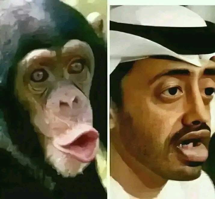 <a href="/alHattlan/">سليمان الهتلان</a> فعلاً ولاد النطفه الحرام
والصهاينه 
والصليبيين
والكفار
والمجوس 
والهندوس
والمنافقين
والمتصهينين
وكل شذاذ الافاق ضدالاخوان 
اذاً وبلا ادنى ذرة شك الاخوان
على الطريق الصحيح وهم
الفرقه الناجيه التي على الحق
المجاهدين وحراس العقيده
ومعهم الله ومن كان الله معه
لاخوفٌ عليه رفعت الاقلام