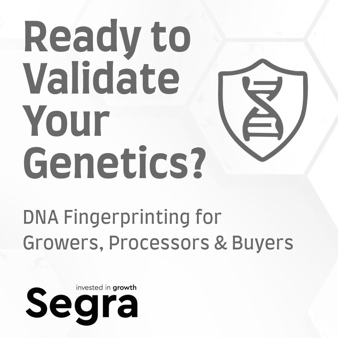 Segra’s DNA Fingerprinting service is now available to cultivators, processors, exporters, and buyers looking to add scientific certainty to their operations.

DM us or visit lnkd.in/gwP9eyFa to get started.