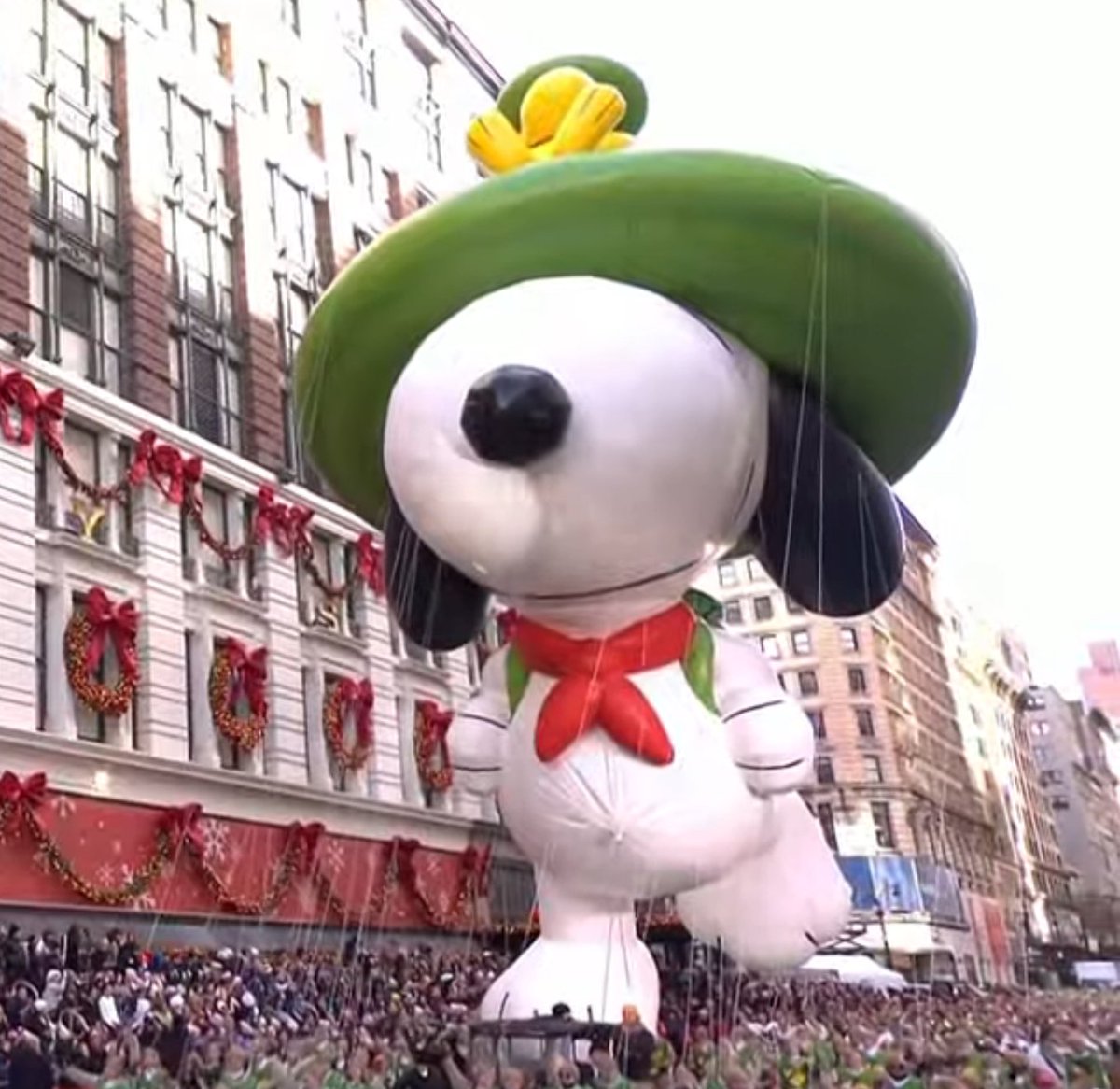 snoomfies's tweet image. LOOK WHO IT IS !!