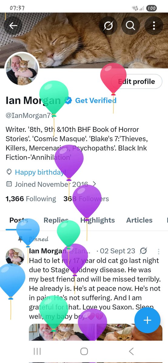 Not another bloody year!!!