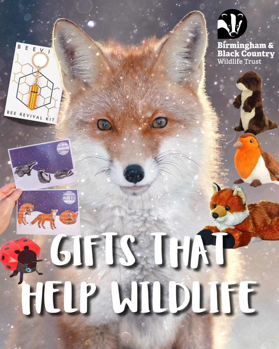Birmingham & Black Country Wildlife Trust tweet media