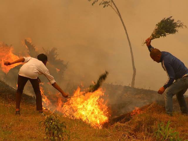 Omuliro gwakutumalawo webituse 🤣