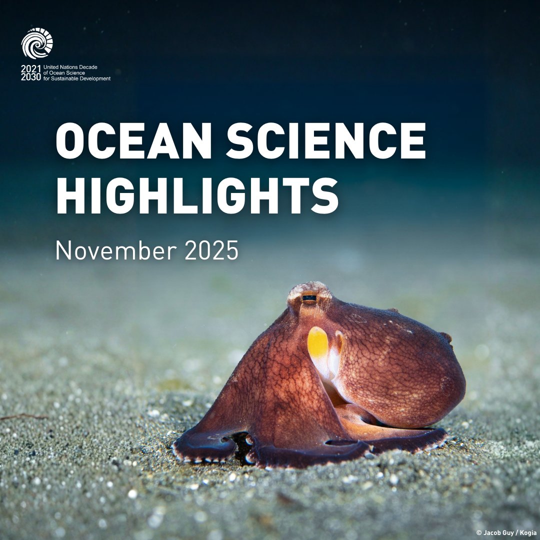 UNOceanDecade's tweet image. What’s new in #OceanScience?

🌊 #COP30 ocean insights and key announcements
🌎 @GOOSocean status report highlights progress and gaps in world's critical ocean observing infrastructure
🪼 Researchers unveil 14 new deep-sea species

Read on: ow.ly/AgZC50XyIaG