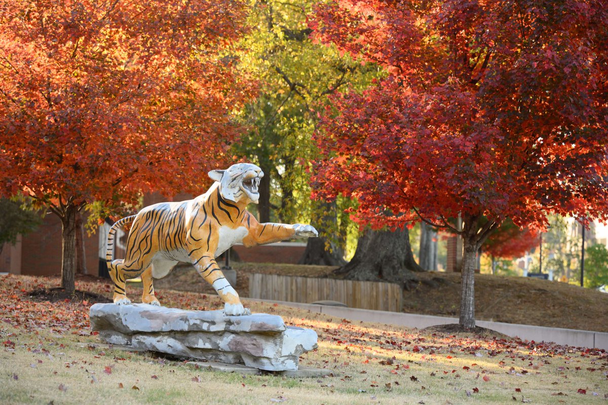 FedexInstitute's tweet image. Grateful for the innovators, researchers, students, and partners who drive technology forward. Your curiosity and collaboration power real impact across our community. Wishing everyone a safe and restorative Thanksgiving break.

#TechForGood #STEMCommunity #Thankful