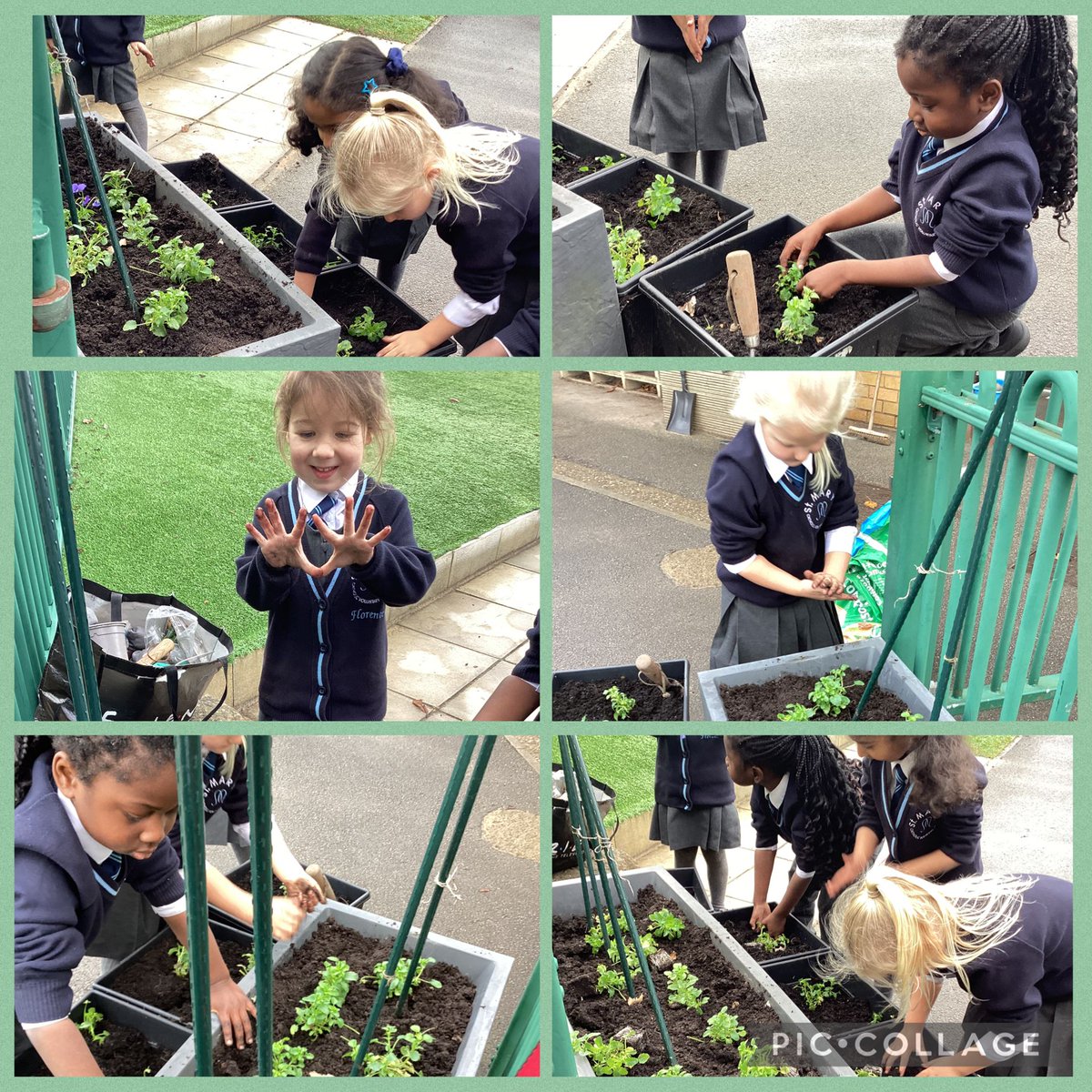 Reception have been busy planting viola, daffodil and tulip bulbs this afternoon.