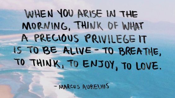 #HappyThanksgiving #IAM #Grateful ✨