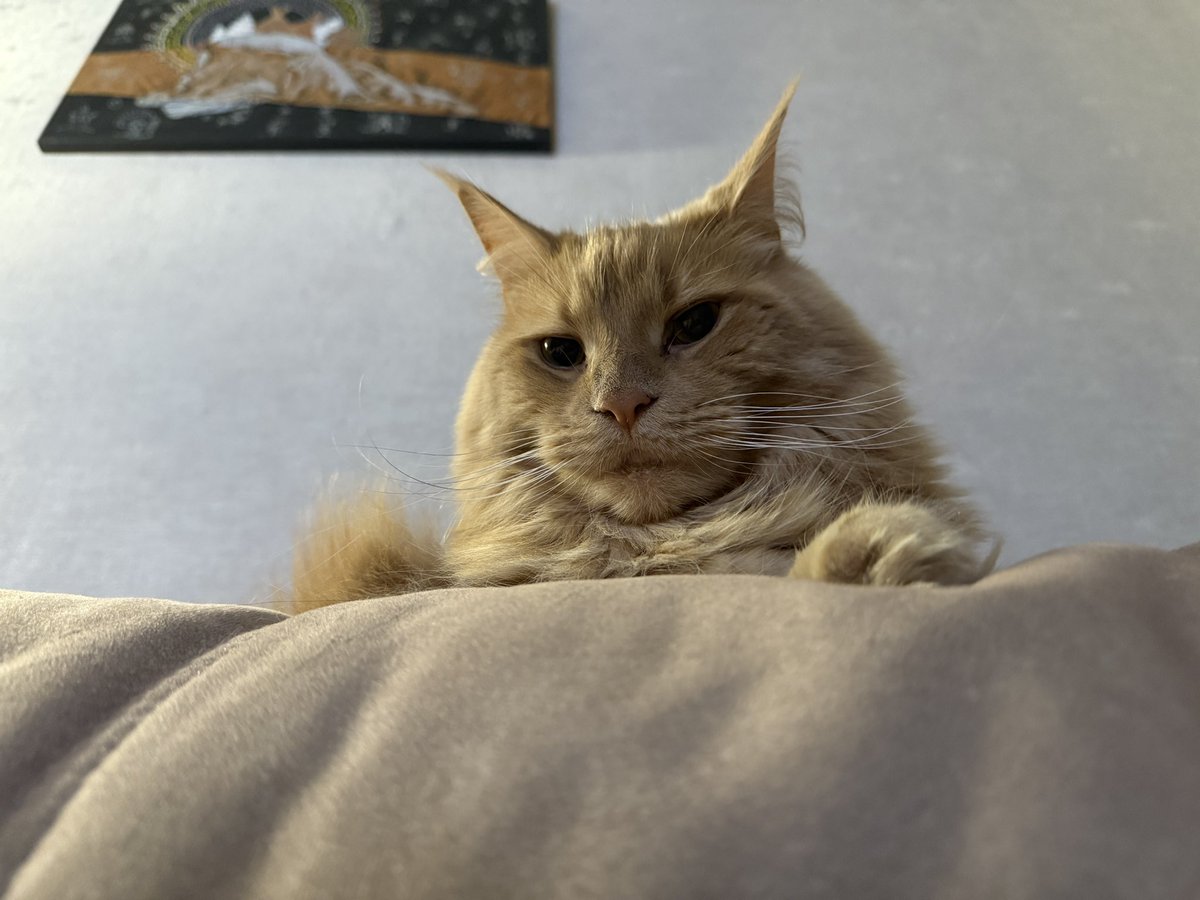 Пришла, легла около меня)