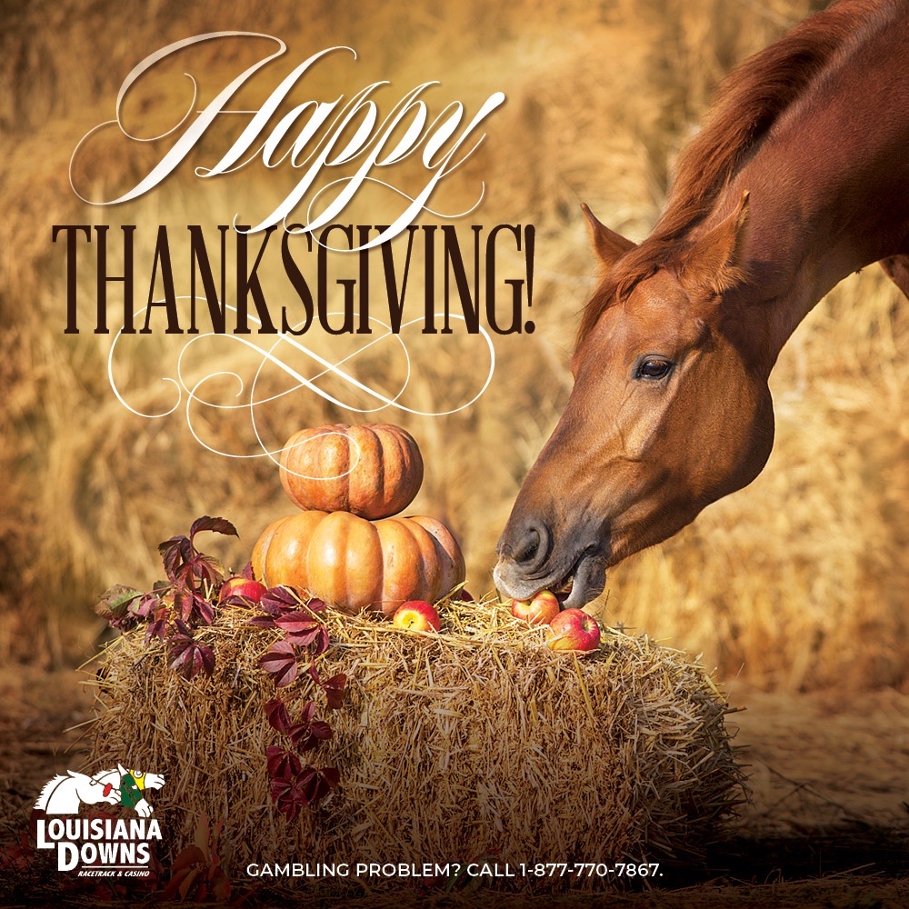 🦃 Happy Thanksgiving! 🍂
Wishing everyone a day filled with good food, and good times with the people you love!