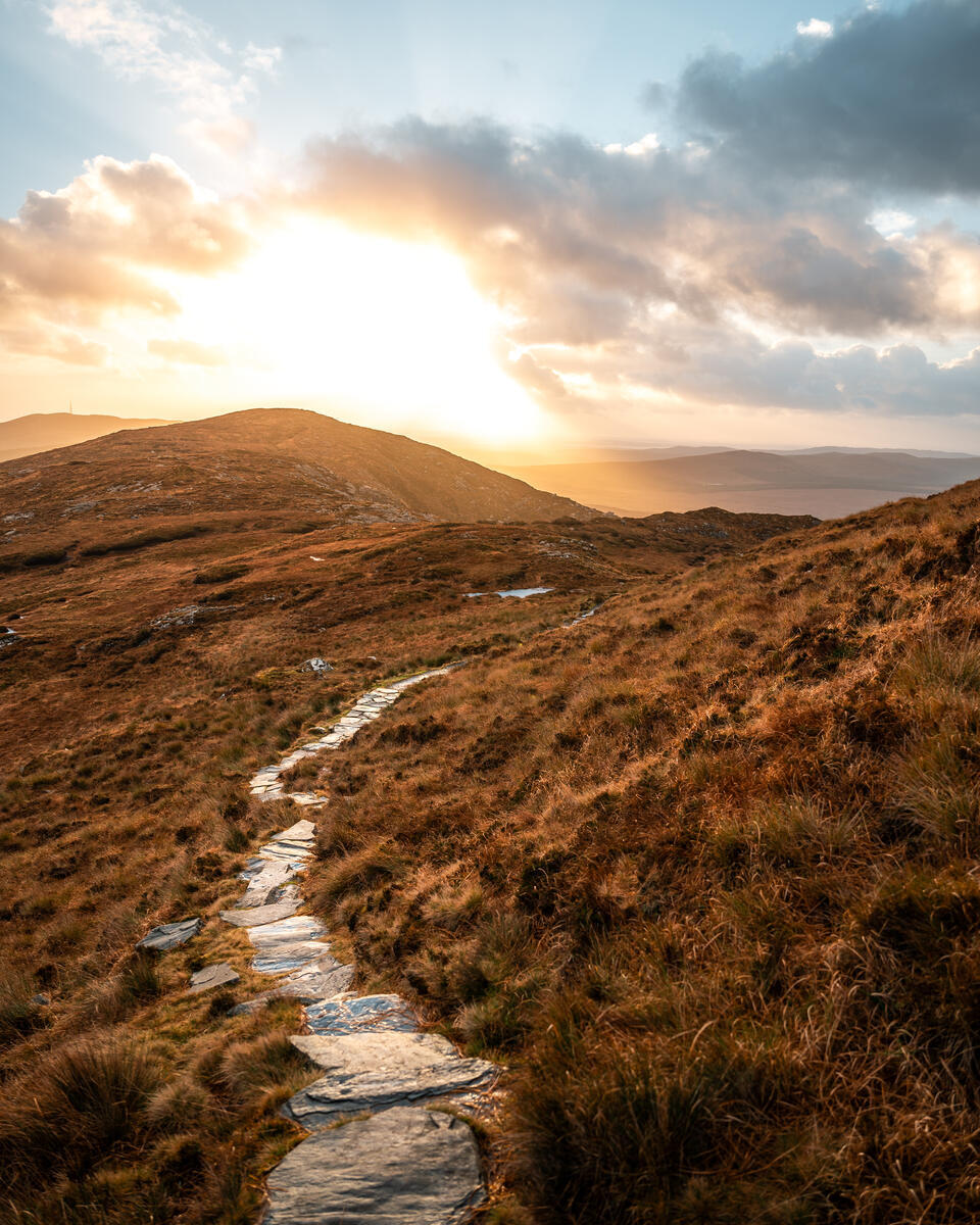 Tourism Ireland tweet media