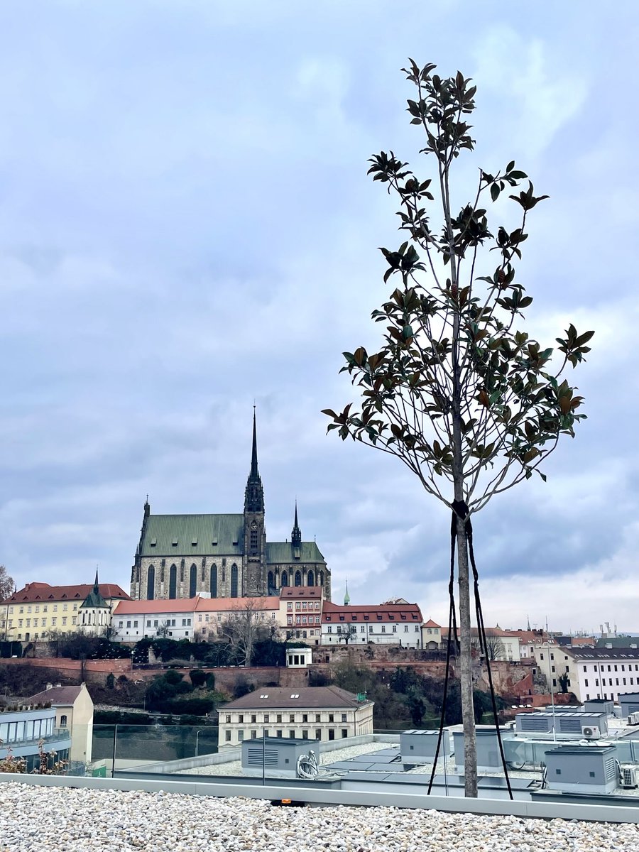 Výhled z nové brněnské budovy Titanium, kde bude od pondělí 1.12. v provozu nejnovější centrum očkování a cestovní medicíny se zvýšenou kapacitou umožňující práci několika lékařů současně.