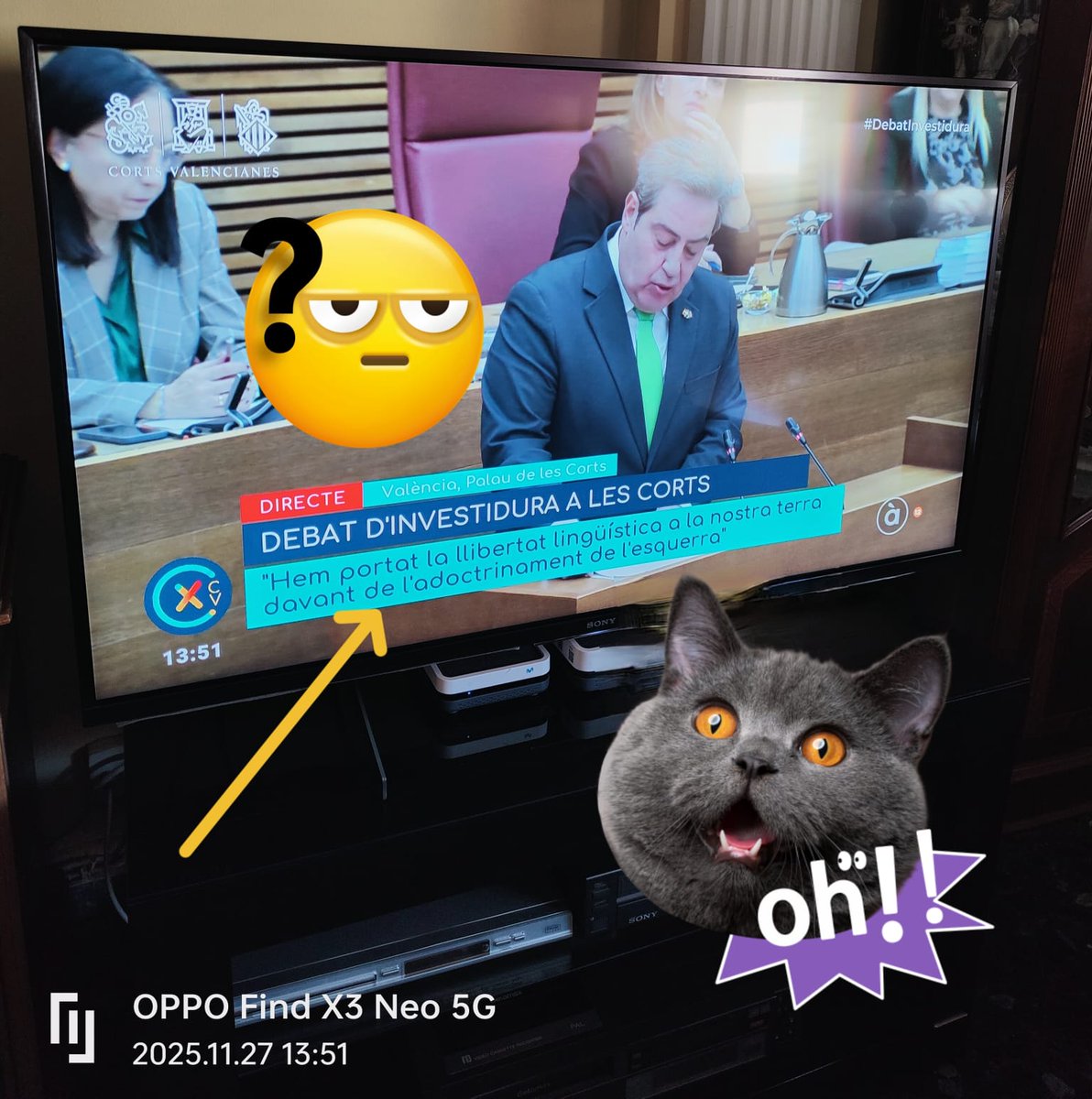 Queremos pasar de los políticos, porque ningún partido está dispuesto a arreglar con sensatez el problema lingüístico y ya nos aburren, pero oír a Pérez Lorca  <a href="/JuanFranFines/">Juanfran Pérez Llorca</a> diciendo que han traído la #LibertadElecciónLengua es demasiado. 🤦
#HablamosEspañol