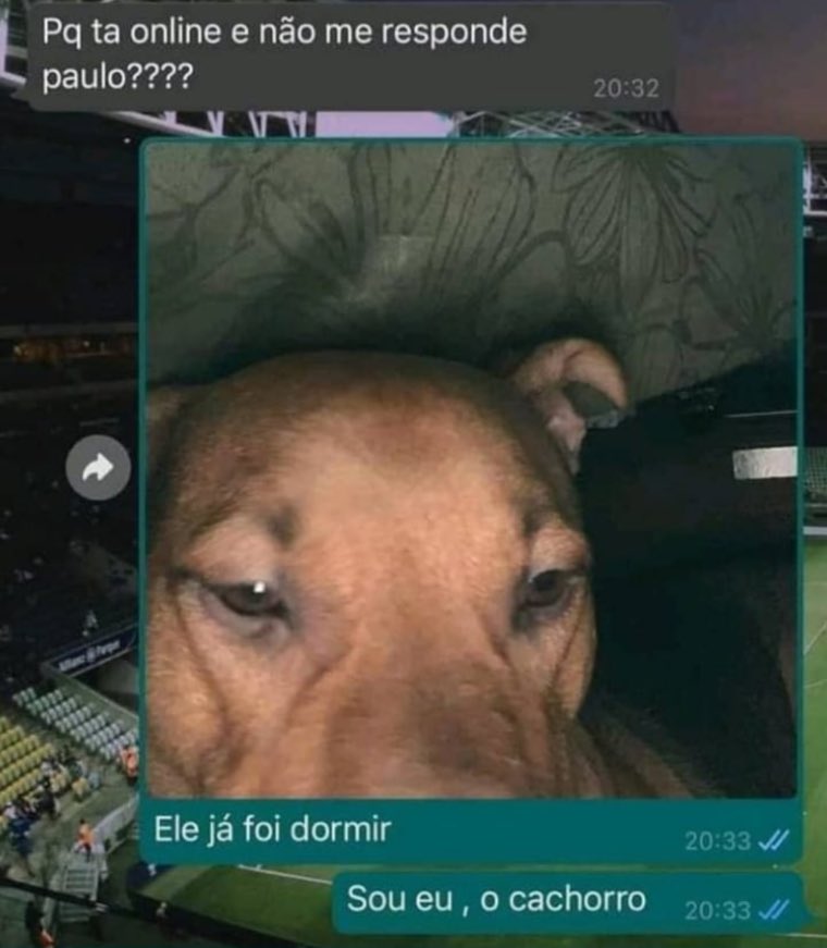 euskal herria fumar (@euskadifumar) on Twitter photo 