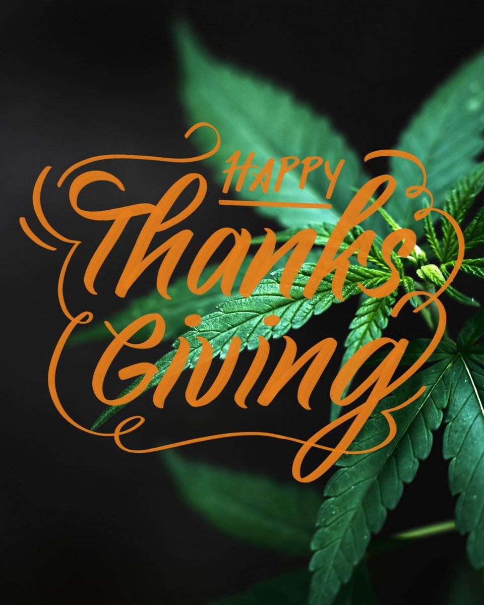 acannability's tweet photo. Gratitude, trust, and quality. This Thanksgiving, we're thankful for the trust you place in the Acannability seal. We're committed to leading with standards and transparency. Happy Thanksgiving! 

#Acannability
#HappyThanksgiving
#CannabisScience
#CannabisResearch
#Illinois https://t.co/Uwb0VfQv4D