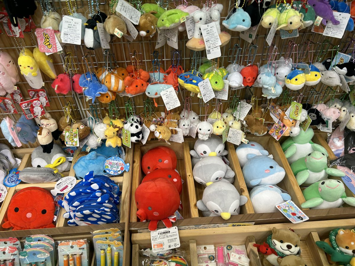 ミカズキン🌙今日もいつも通り！ (@mush_emperor) / Posts / X