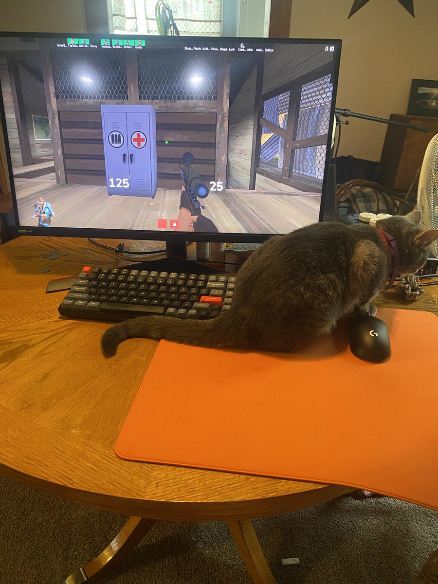 JStackly88916's tweet image. 