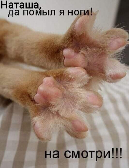 Cotizm1's tweet image. 