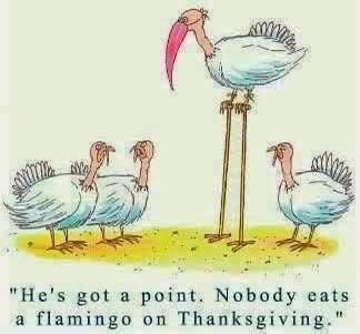 Happy Thanksgiving! 😝

#Thanksgiving