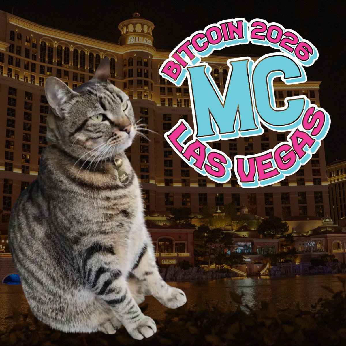 MEMECON_OMG's tweet image. 🐈‍⬛ See you in Vegas! @rememberkitkat 🎰🐈‍⬛

🐈‍⬛ $KITKAT the legendary SF bodega cat will be joining MEMECON in spirit, along with @zeidanielsr 

A community icon loved across the internet, with 40% of creator fees supporting animal rescues 🖤🖤🖤

Welcome, KitKat &amp;amp; Daniel 🎰 🐈‍⬛