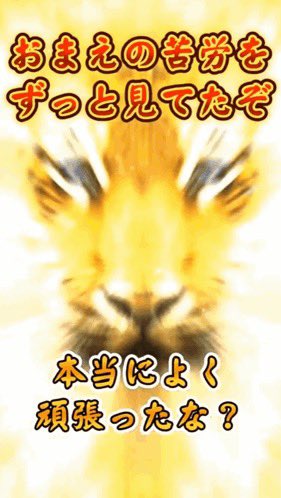 難儀 (@sharedsilence0x) / Posts / X