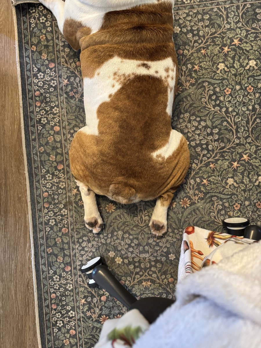 juhrafftrades's tweet image. Look at the drum sticks 😭