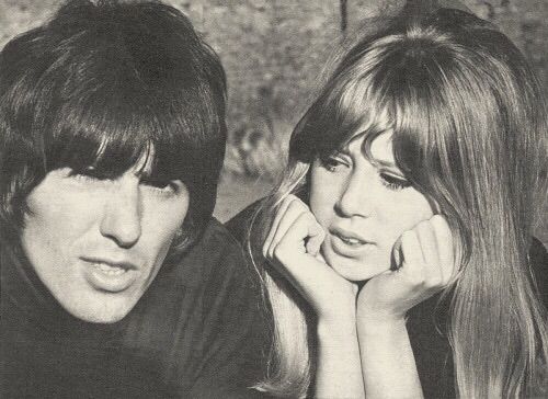 findtheture's tweet image. 