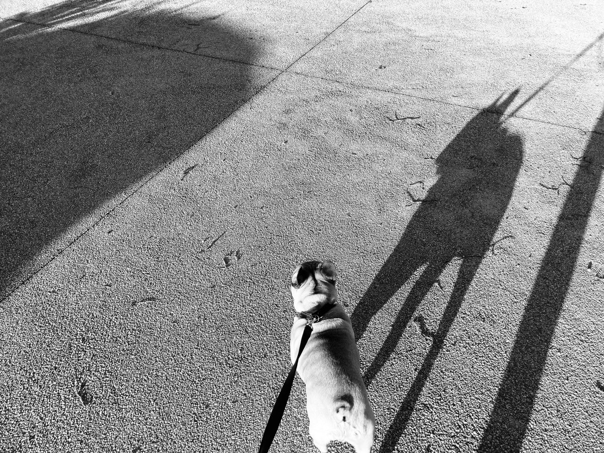 subutex4's tweet image. 