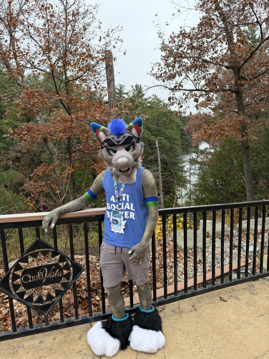 Happy Thanksgiving!! I'm so grateful for this fandom and all the amazing friends I've made because of it! Love y’all!! 😁💙🍁

📸: <a href="/PackerDog30/">Packer 🔜 ANE, NFC, LVFC, FWA</a> 

#furry #furryfandom #fursuit