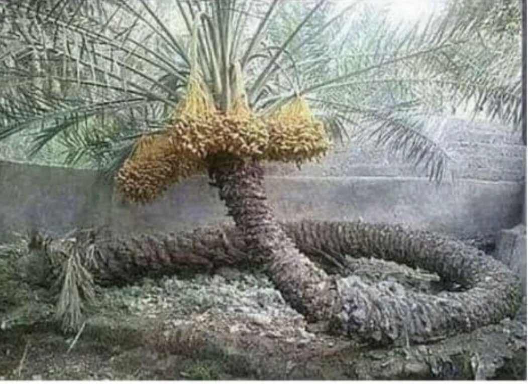 .

من إعتاد العطاء ، لا تعوقه انكسارات الايام ..

.