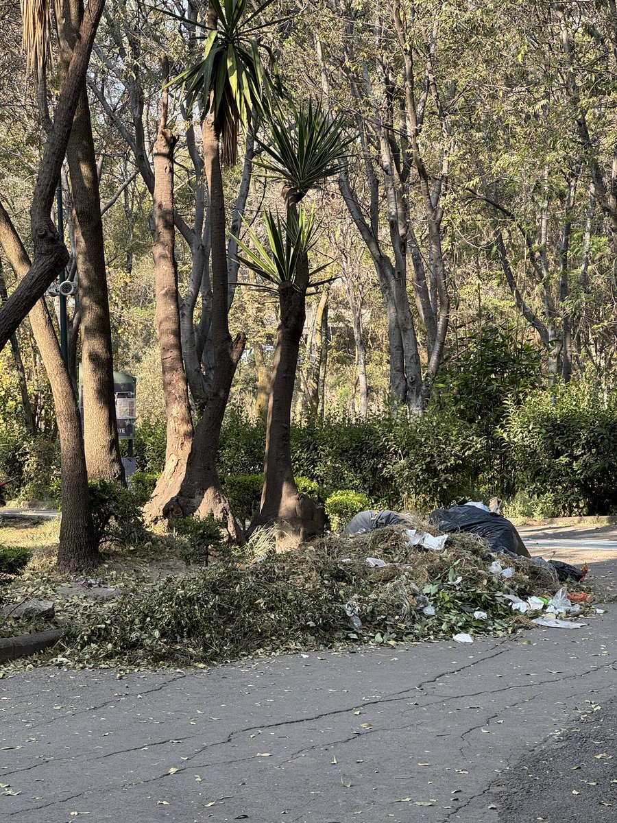 monitafotografa's tweet image. Los parques muy descuidados parque hundido y arboledas súper sucios @AccionesBJ @BJAlcaldia @En_laDelValle