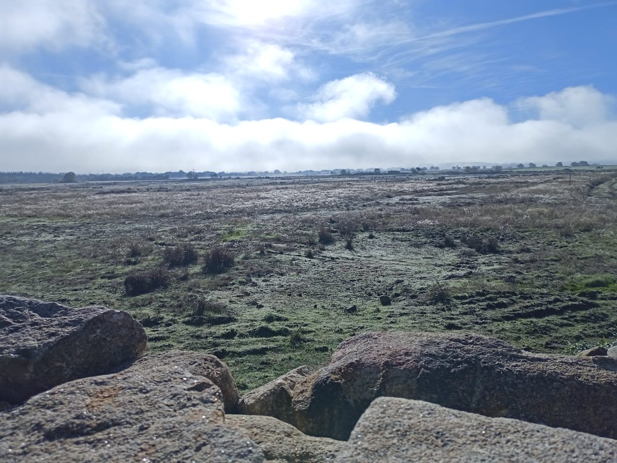 Hoy hemos disfrutado de una jornada participativa y divulgativa donde 55 personas han podido redescubrir uno de los grandes "Humedales Olvidados": la Laguna de Antela, uno los últimos refugios de las poblaciones más amenazadas a causa del cambio climático.