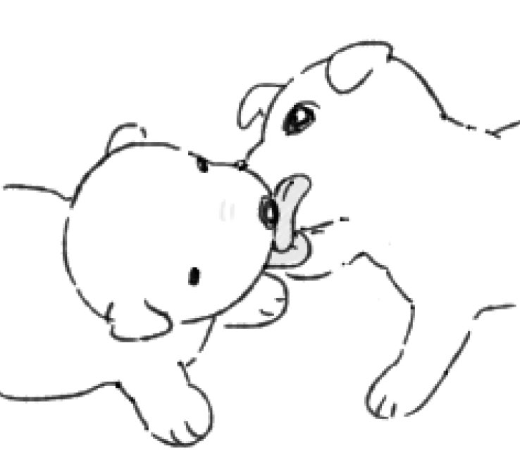 죽음 (@doriqnghkf) on Twitter photo 