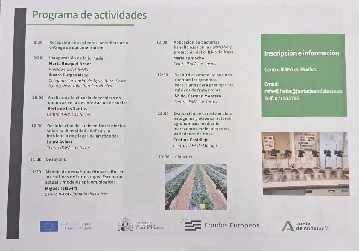 La <a href="/AndaluciaJunta/">Junta de Andalucía</a> analiza en #Huelva el impacto de plagas y enfermedades en el cultivo de #FrutosRojos🍓

Los investigadores del #IFAPA han estudiado la eficacia de técnicas no químicas de desinfestación de suelos y la resistencia de patógenos