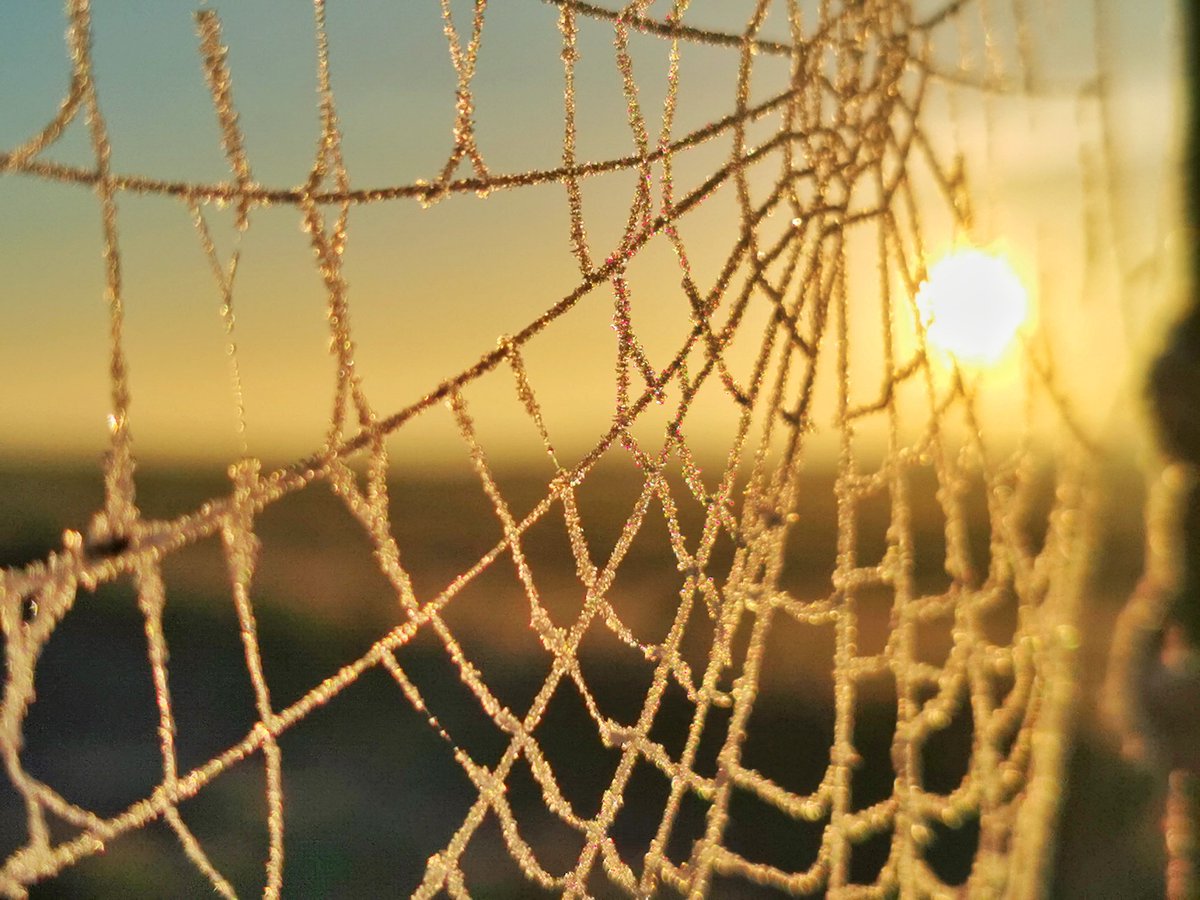 Jack March Photography📸 tweet media