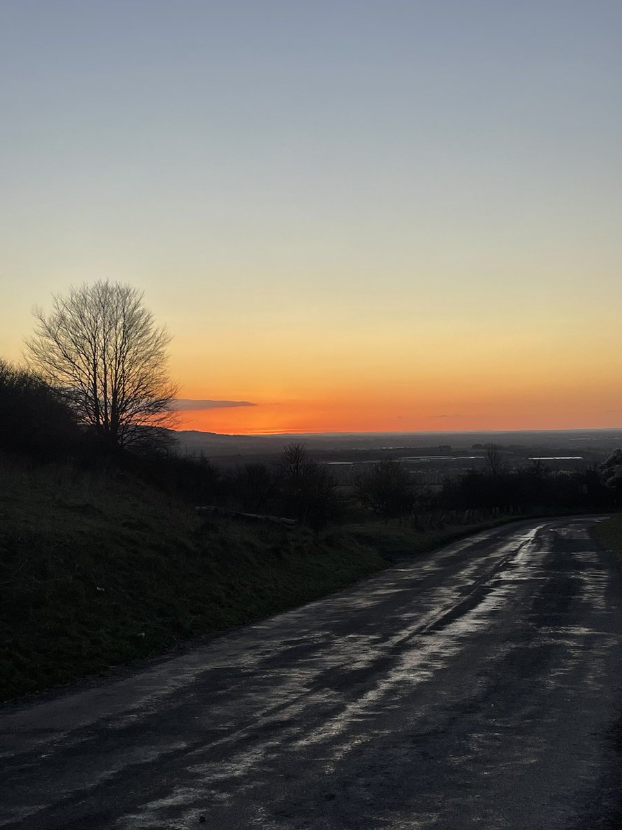 Wayne Davis tweet media