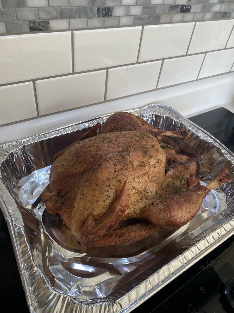 Almost destroyed the bird. Go it out just in time.