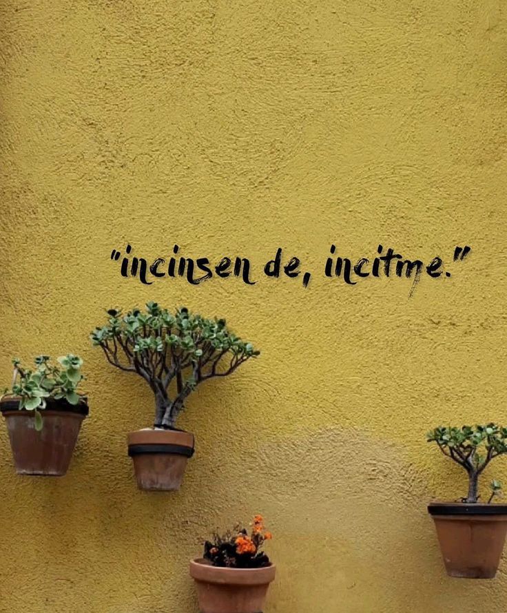 Burak ' (@burakbisakin) on Twitter photo 