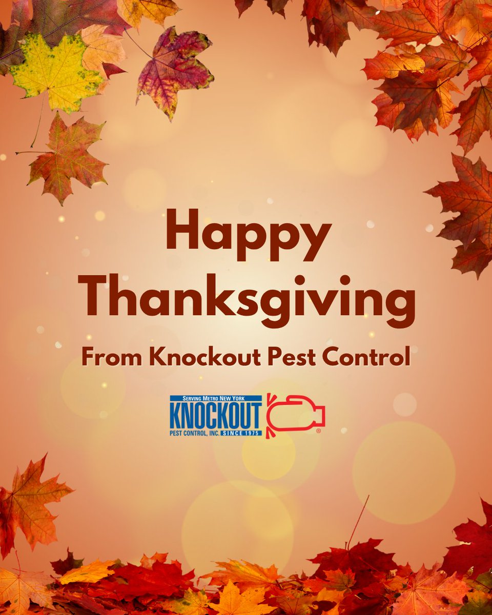 KnockoutPestNY's tweet photo. Wishing our Long Island neighbors a safe, happy, and pest-free Thanksgiving! 

We’re grateful for every customer who trusts us to protect their homes and businesses.  
 
#knockoutpestcontrol #pestcontrol #pestcontrolservice #exterminator #newyork #happythanksgiving https://t.co/ShiFIo8pHZ