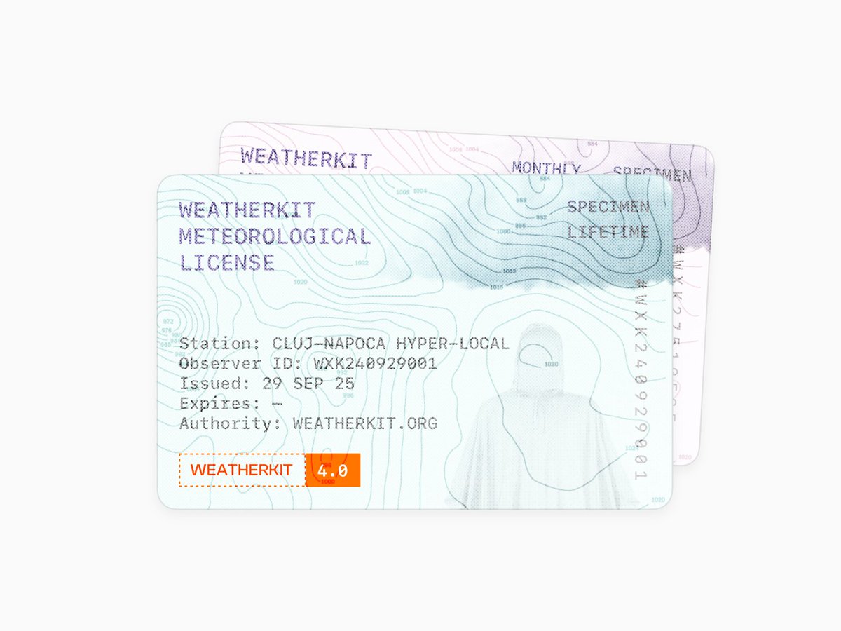 Raul Perte tweet media